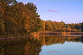 <p>Šluknov - Bobří rybník</p>